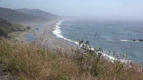 Oregon weeds frame view of beach Vídeo Stock 79523159