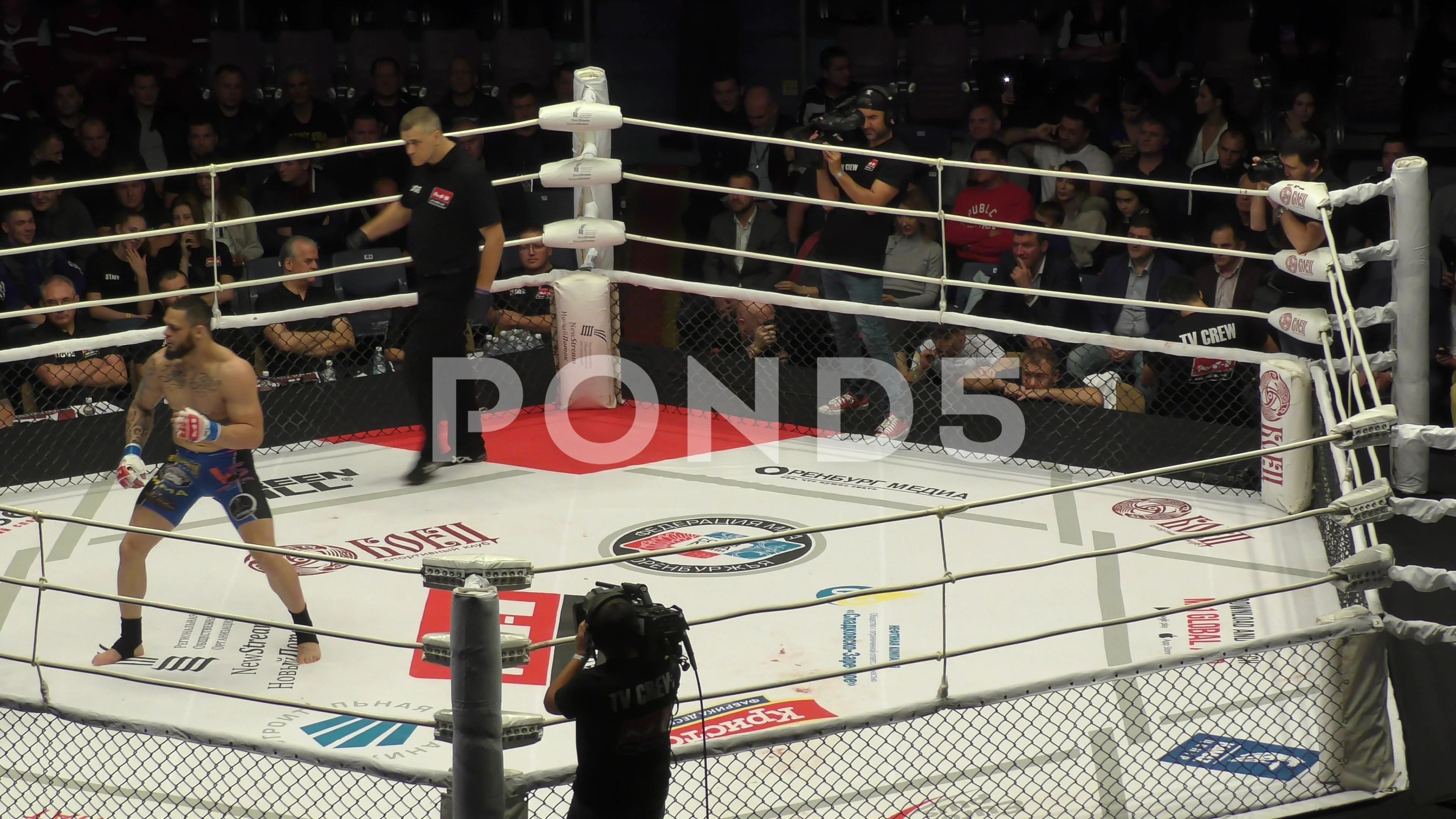 Mma Stock Video Footage Royalty Free Mma Videos Pond5