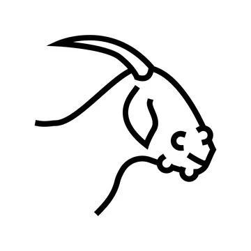 Orf virus line icon vector illustration Stock Illustration