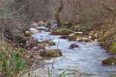 Orfento Stock Photos