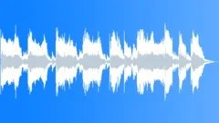 Organ Banjo Band Music StingerStock Music