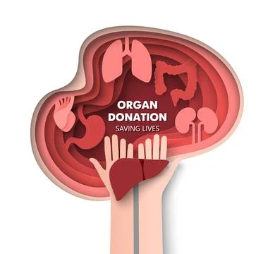 Organ donation 3d vector saving life concept Stock Illustration