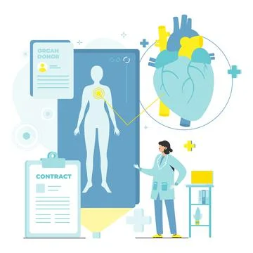 Organ donor contract with patient vector poster Stock Illustration