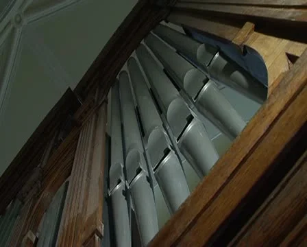 Organ Vidéo 11447010