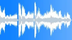 Organ Stock Music