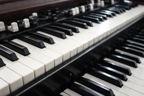 Organ Stock Photos