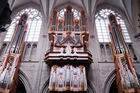 Organ Stock Photos