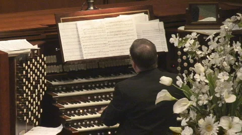 Organ01 Stock Footage 556417