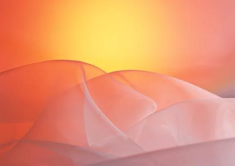 Organdy and Satin Stock Photos