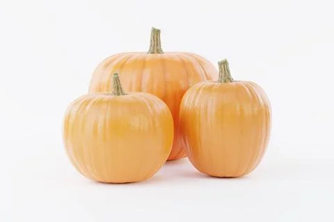 Organe Pumpkin In White Background 3D Rendering Mockup Stock Illustration