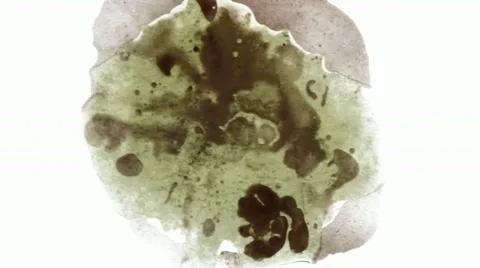 Organic 3 Stock Footage 10919828