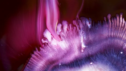 Organic abstract art fluid effect, pink, white and purple particles. Stock Footage 137944805