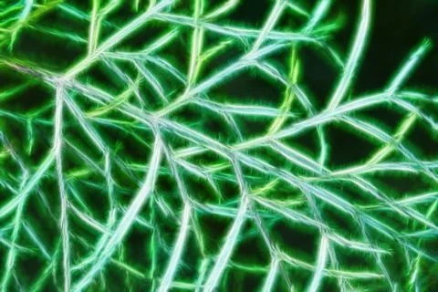 Organic abstract texture Stock Photos