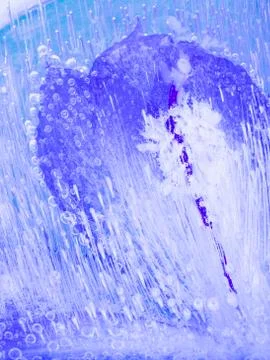 Organic abstraction blue ice Stock Photos