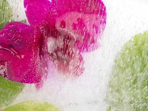 Organic abstraction with flower and water Stock Photos