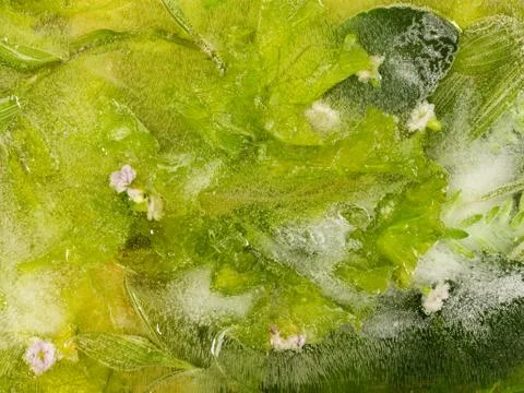 Organic abstraction Stock Photos
