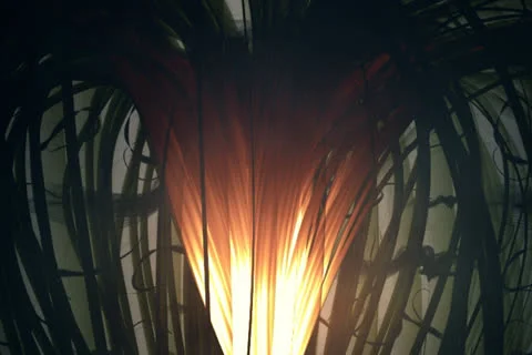 Organic Alien Creature With Many Strings 스톡 동영상 25100268