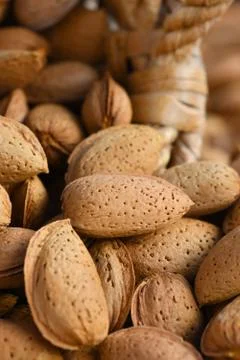Organic almonds macro Foto stock