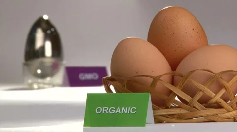 Organic and genetically modified Eggs - concept (ver.1) Stock Footage 7756200