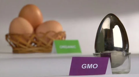 Organic and genetically modified Eggs - concept (ver.2) Stock Footage 7756560