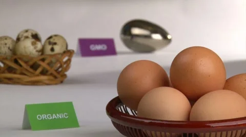 Organic and genetically modified Eggs - concept (ver.3) Video stock 7759552