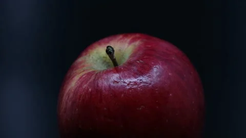 Organic apple on dark background with light Stock Footage 171578715