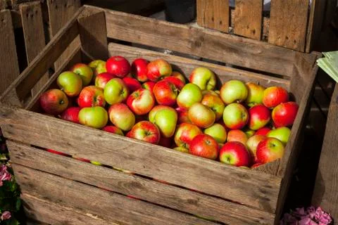 Organic apples Stockfoto's