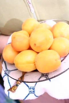 Organic apricots Stock Photos