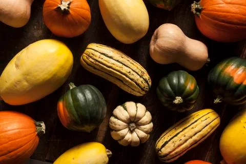 Organic assorted autumn squash Stock Photos
