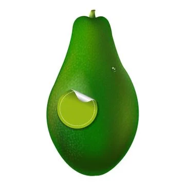 Organic Avocado Stock Illustration