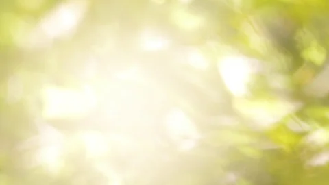 Organic Background Stock Footage 81413553