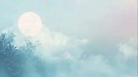 Organic Background of Fragments Stock Footage 308241185