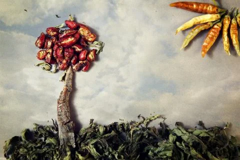 Organic background Stock Photos