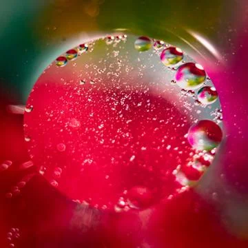 Organic background Stock-Fotos