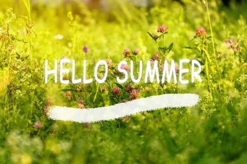 Organic background, summer, spring nature, Hello Summer text Stock-Fotos
