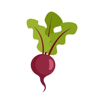 Organic beet icon flat isolated Stock Illustration