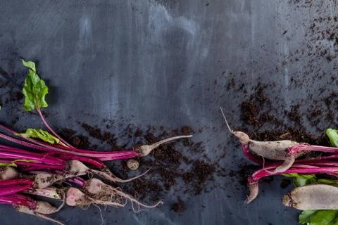 Organic beetroot with soil Stock Photos