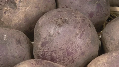 Organic beets close-up. Fresh vegetables. Video stock 145156187