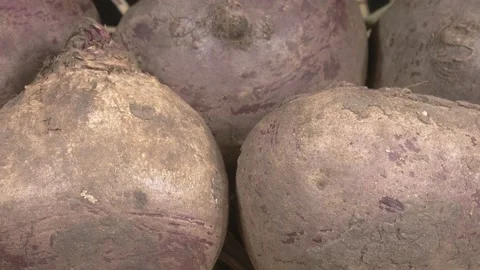 Organic beets close-up. Fresh vegetables. Stock Footage 145156424