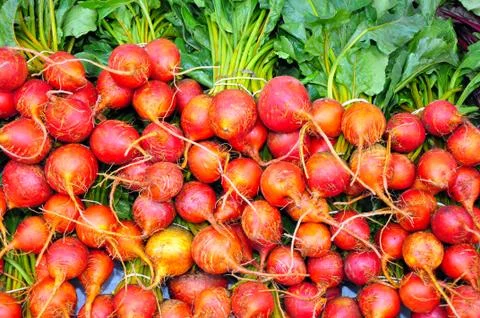Organic beets Stock Photos