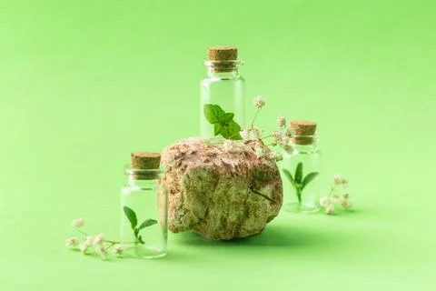 Organic, bio cosmetics healthy concept with natural plants in bottles. Foto stock