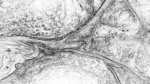 Organic Black Ink Cloud Motion Stock Footage 327999713