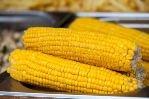 Organic boiled Corn. Vegetables cooked on the fair. Stock Photos