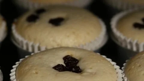 Organic bread baking in oven. Homemade fresh bread. Timelapse. Loaf is raised Stock Footage 336576505