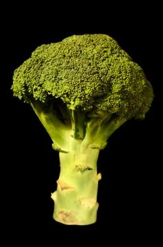Organic broccoli on black background Stock Photos