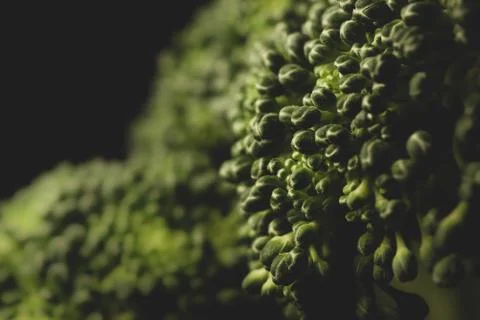 Organic Broccoli Macro close up Stock Photos
