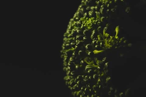 Organic Broccoli Macro close up Stock Photos