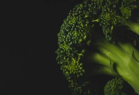 Organic Broccoli Macro close up Stock Photos