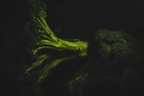 Organic Broccoli Macro close up Stock Photos