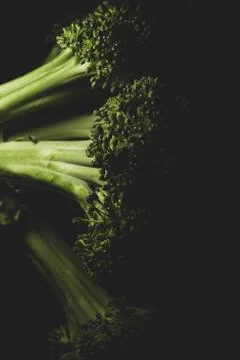 Organic Broccoli Macro close up Stock Photos
